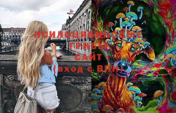 мет Верея